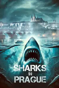 Sharks in Prague