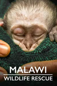 Malawi Wildlife Rescue