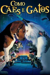 Como Cães & Gatos