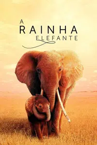 O Rei Elefante